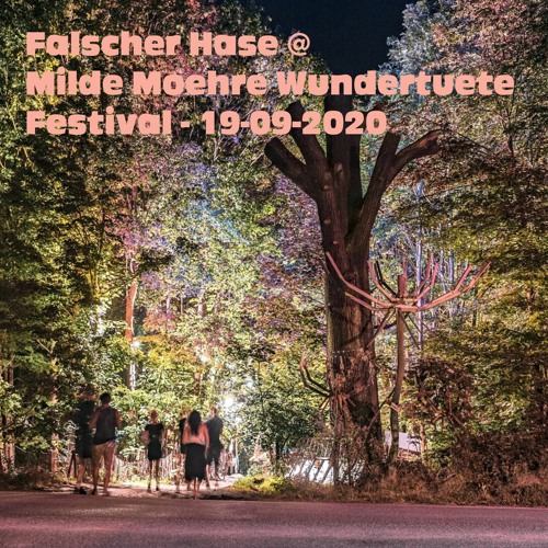Falscher Hase at Milde Möhre Wundertüte Festival - 19-09-2020
