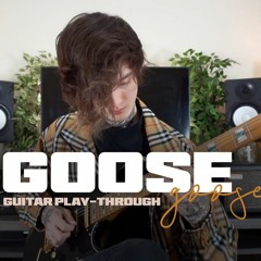 Goose - Tim Henson