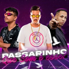 PASSARINHO QUE SOM É ESSE? - JC NO BEAT, DJ Patrick Muniz e DJ TN Beat