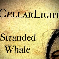 Stranded Whale
