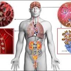 Virus (2003)