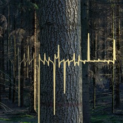 Mollono.Bass - My Way [Instrumental Version) snippet