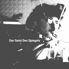 Wasn't Born & Spiegel - Der Geist Des Spiegels (live)