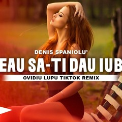 Vreau sa-ti dau iubire | Ovidiu Lupu TikTok Remix