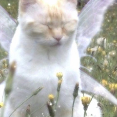 maybe it's not that bad