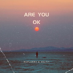 Are You Ok (feat. Xelfiy)