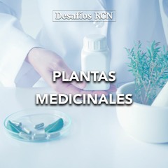 Plantas medicinales | Desafíos RCN-Javeriana