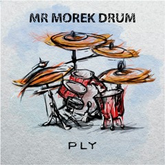 PREMIERE: Mr Morek - Drum (Original Mix) [PLY]