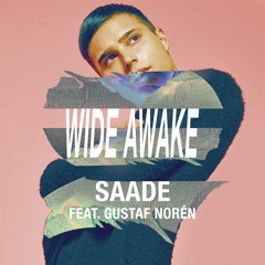 Wide Awake (feat. Gustaf Norén & Filatov & Karas) (Red Mix)