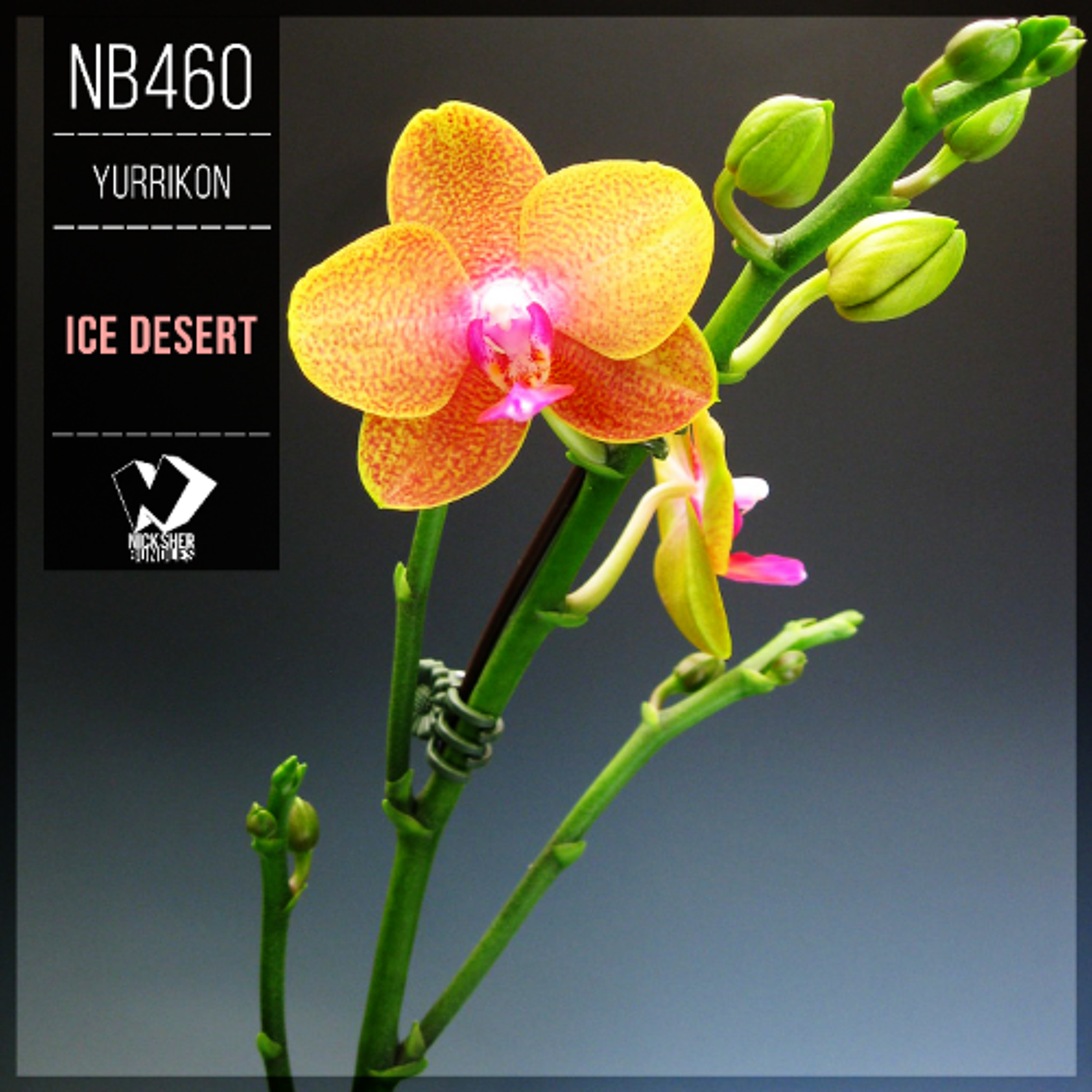 Yurrikon - Ice Desert (Original Mix) episode artwork