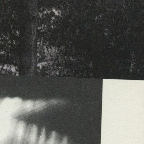 i love you w/ funenombra [p. cymbionic]