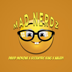 Mad NerdZ (Demo)