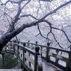 кто виноват, что до этого дошло?