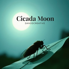 Cicada Moon