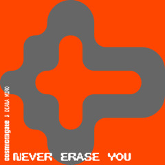 Never Erase You