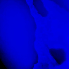 12-13-2025 - RANDOM OAKS MIX