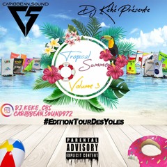 Tropical Summer Vol. 3 (EditionTDY)