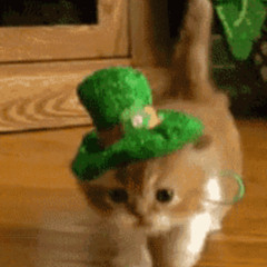 St. Patrick's Day Set 03.15.25
