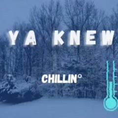 Ya Knew - Chillin(Draft)