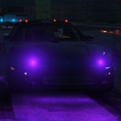 PRO1010
