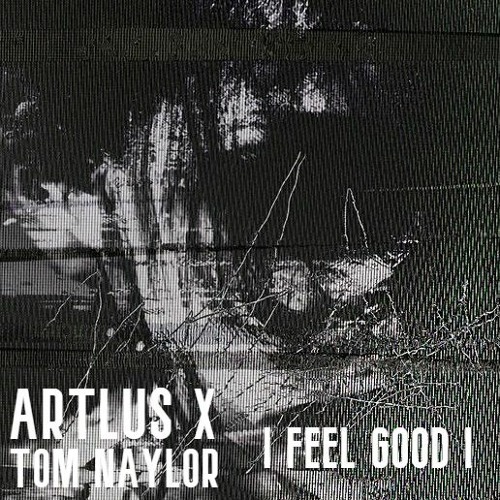 ARTLUS X TOM NAYLOR - FEEL GOOD