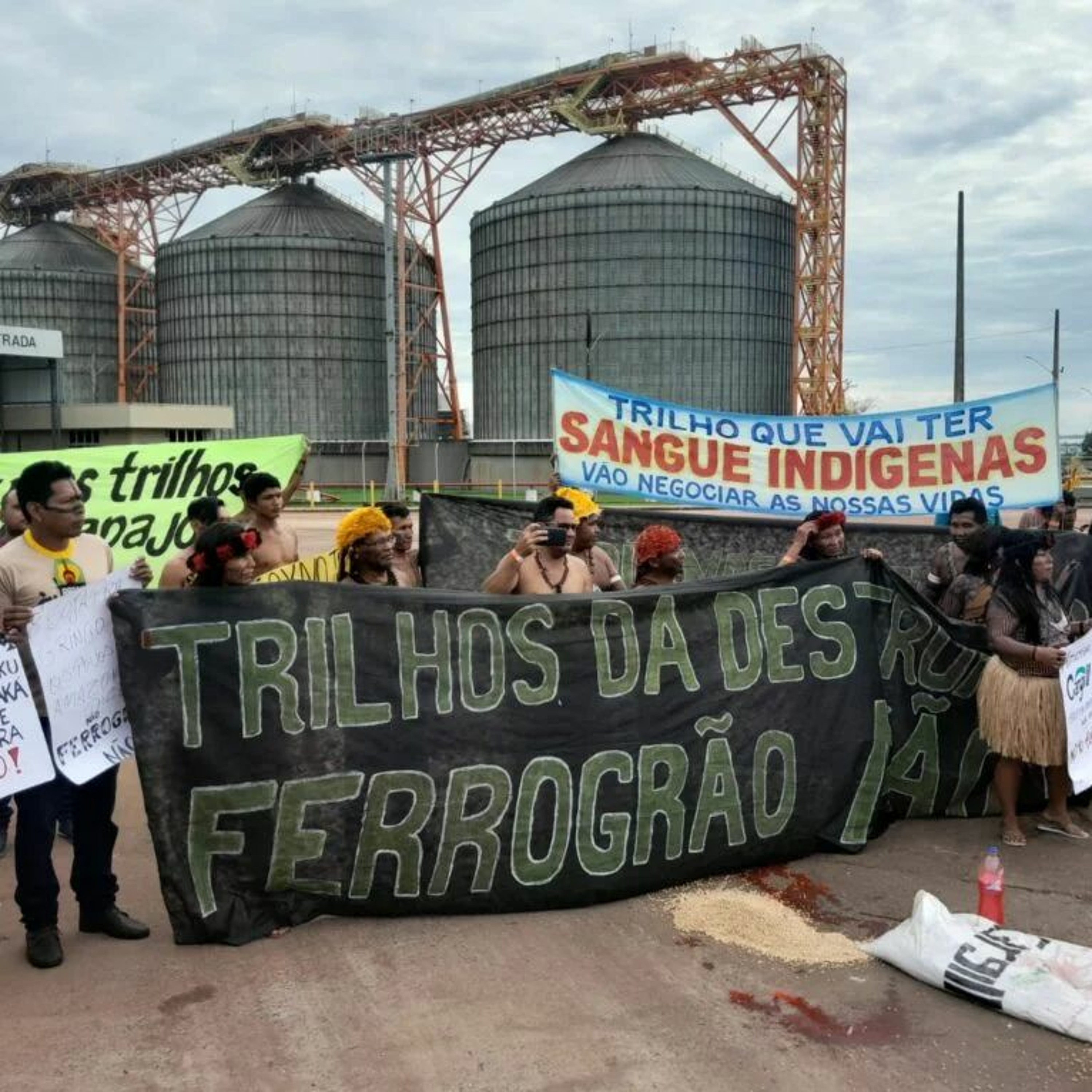 Alô 05/03/24: lideranças denunciam riscos da Ferrogrão à floresta amazônica