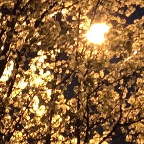 another song