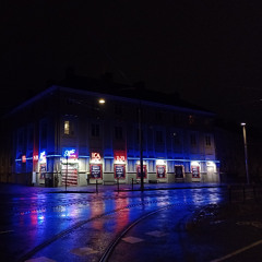 cowsy summer night