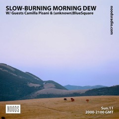 Slow - Burning Morning Dew | 11 - 10 - 2020 | Noods Radio