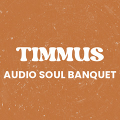 12.  Timmus - Audio Soul Banquet
