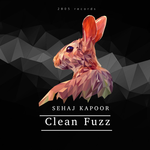 Clean Fuzz