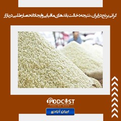 گرانی برنج در ایران، نتیجه دخالت باندهای مافیایی و ایجاد انحصارطلبی در بازار