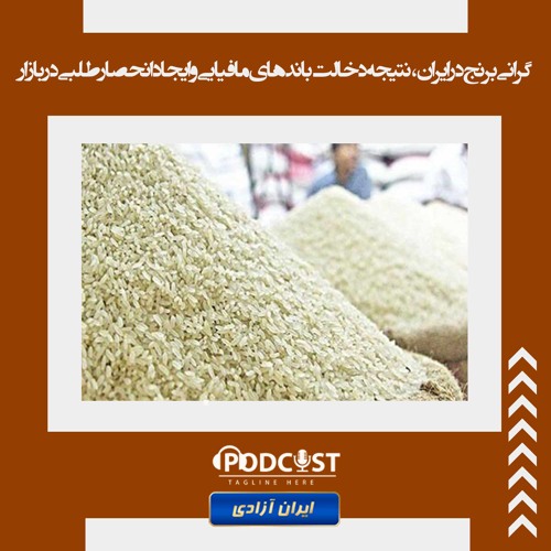 گرانی برنج در ایران، نتیجه دخالت باندهای مافیایی و ایجاد انحصارطلبی در بازار