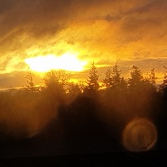 Muse & LIght