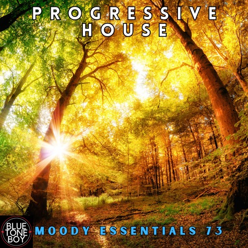 Moody Essentials 73 ~ #ProgressiveHouse #MelodicTechno Mix