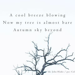 haiku #415: A cool breeze blowing / Now my tree is almost bare / Autumn sky beyond