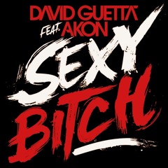 David Guetta, Akon - Sexy Bitch - LÜXO Remix [Filtered for Copyright]