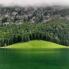 Michael Jackson - Billie Jean (steppke Remix)