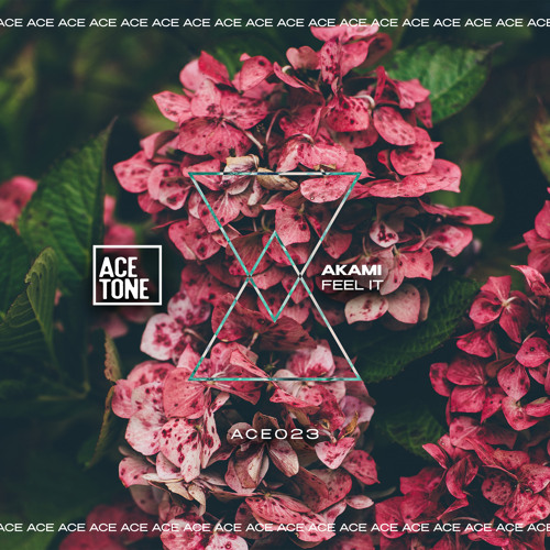 AKAMI - Feel It