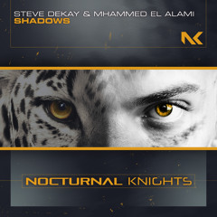 Shadows (Extended Mix)