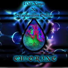 406Ninja X Seraphantom Online//Ch2orine {Instrumental}