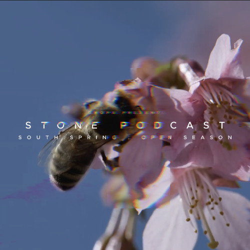 011025 - STONE PODCAST - SOUTH SPRINGS : OPEN SEASON