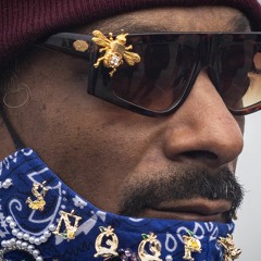 Snoop Dogg Back Up REMIX