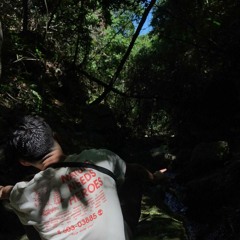 BizonTx Ymareicha