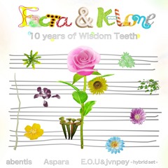 FACTA & K-LONE -10 years of Wisdom Teeth- presented by loopな & Local 28 World 2024/10/11 at WWW X