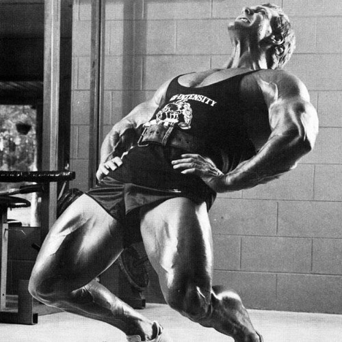Goth - Tom platz motivation (reverb)