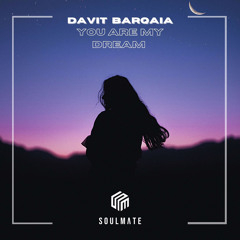 Davit Barqaia - You Are My Dream