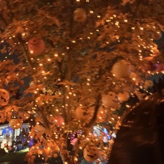 the other side pt2 (prod borgiolini)