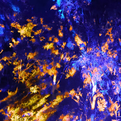 Run The Show(feat. Busta Rhymes)(Wellsent Edit)