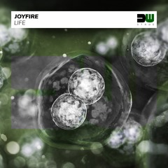 JOYFIRE - Life (Radio Edit) / DANCEWOOD RECORDS